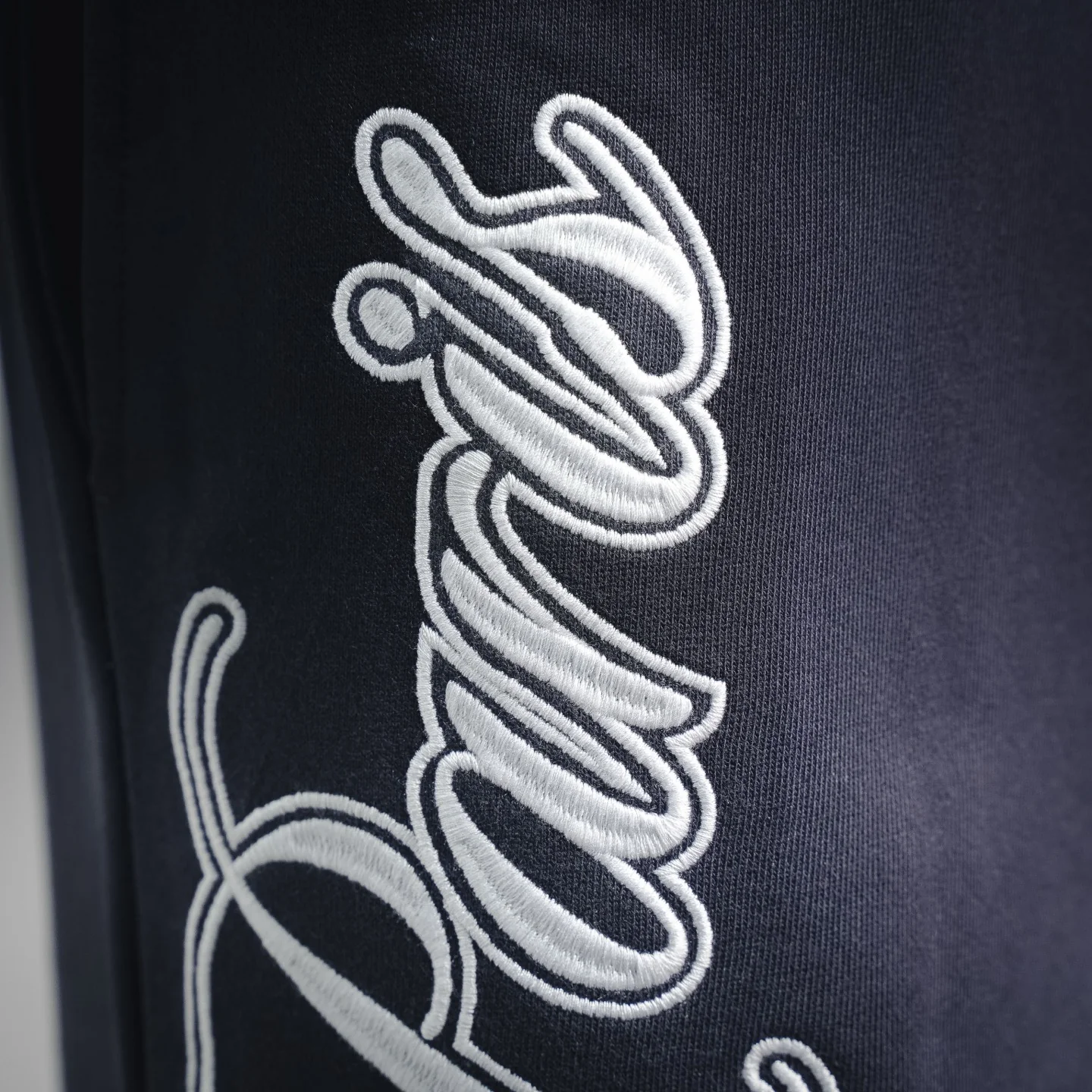 Balen embroidered pants