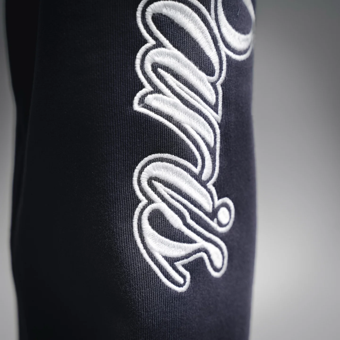 Balen embroidered pants